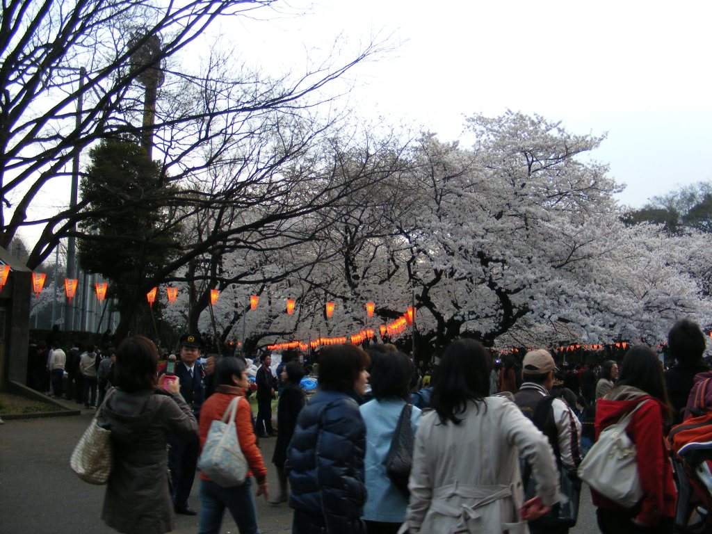 Ueno Park Tokyo
© Maria Sannino 2010-2020